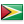 Guyana - flag